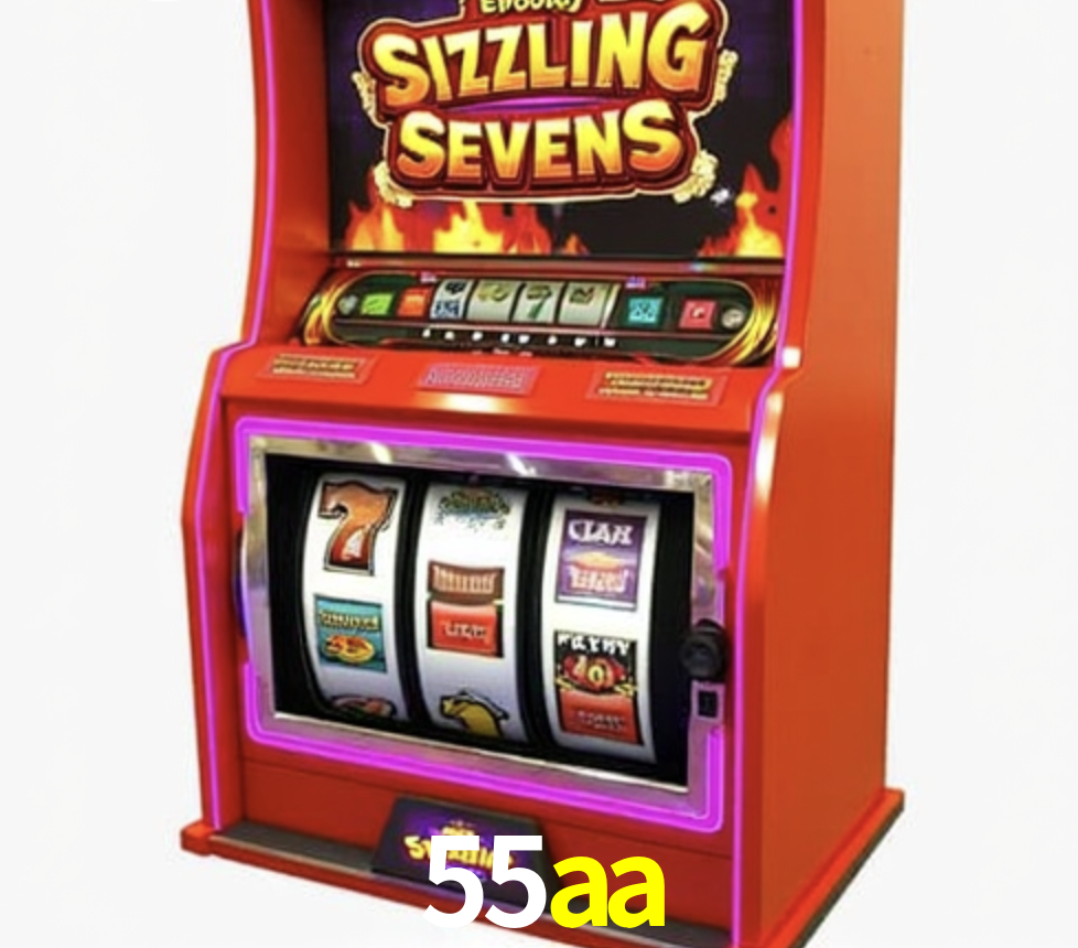 Security Systems 55aa